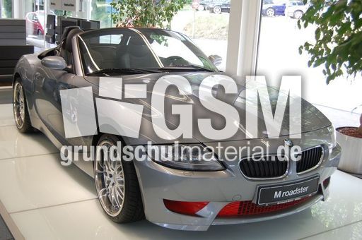 BMW Z4_4.JPG